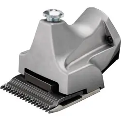 Scherkopf VIII