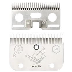 LI A 22
